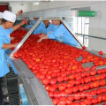 industrial tomato puree processing machine